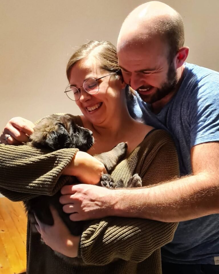 Leonberger Puppies For Sale